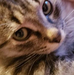 Meet your Posher, Mandy